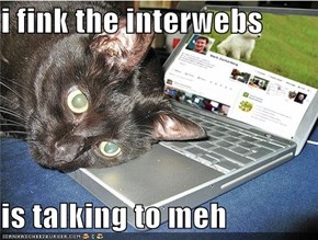 i fink the interwebs  is talking to meh