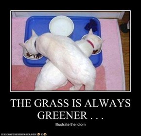 THE GRASS IS ALWAYS GREENER . . .