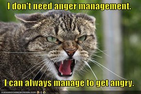 I don't need anger management.    I can always manage to get angry.