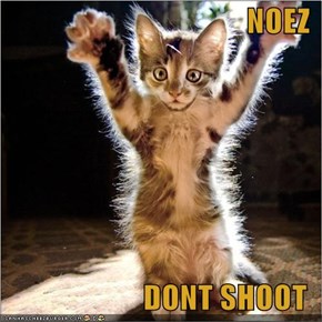 NOEZ  DONT SHOOT