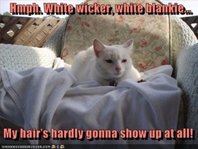 Hmph. White wicker, white blankie...     My hair’s hardly gonna show up at all!