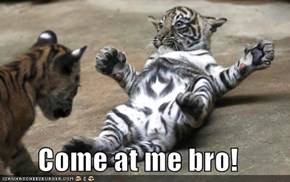 Come at me bro!
