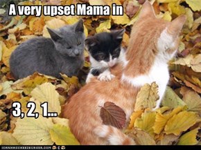 A very upset Mama in