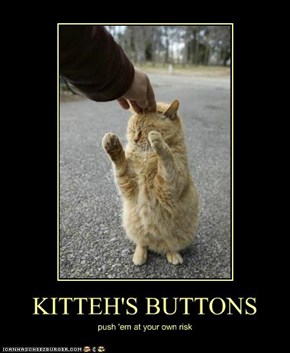 KITTEH'S BUTTONS