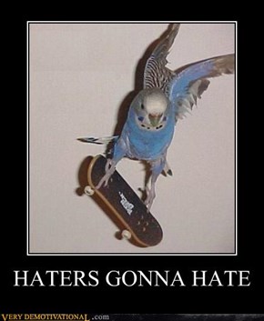 HATERS GONNA HATE