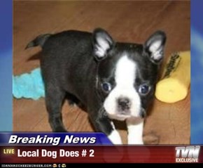 Breaking News - Local Dog Does # 2