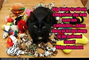 Big Fanks to all my cheezfrenz dat hab sent me collekibls.....been busy in RL but hope to be bak reel soon!!HUgs Blues xxx