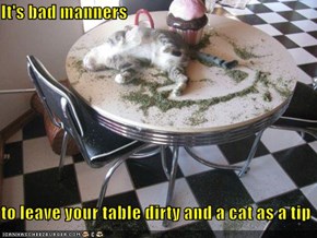 It's bad manners  to leave your table dirty and a cat as a tip