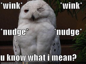 *wink*                      *wink* *nudge*               *nudge* u know what i mean?