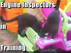 Engine Inspectors in Training