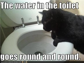 The water in the toilet  goes round and round.