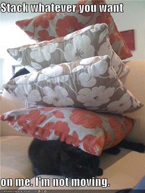 Stack whatever you want   on me. I'm not moving.