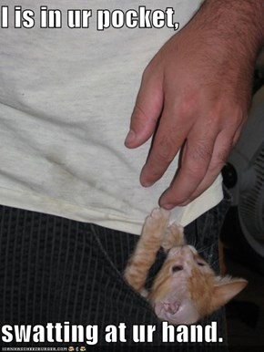 I is in ur pocket,  swatting at ur hand.