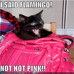 I SAID FLAMINGO!  NOT HOT PINK!!