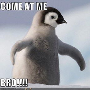 COME AT ME  BRO!!!!