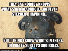 THEY SAY NOBODY KNOWS WHAT'S IN A BLACKHOLE....NOT EVEN  STEPHEN J. HAWKING...