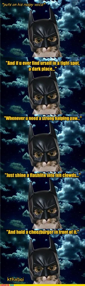 BATCAT - I are Dark Knight! [will work for cheezburgers]