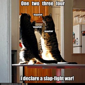 Slap Fight!