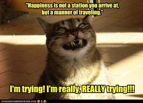 "Happiness is not a station you arrive at, but a manner of traveling."