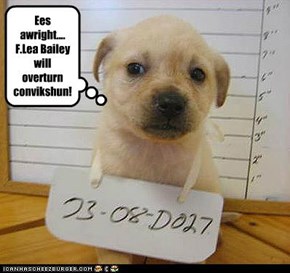 Ees awright.... F.Lea Bailey will overturn  convikshun!