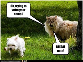 Oh, trying to write your name?