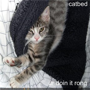 catbed  ur doin it rong