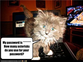My password is ********* How many asterisks do you use for your password?