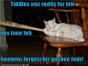 Tiddles wuz reddy fur teh nex time teh   hoominz furgetz hiz gushee fudz!