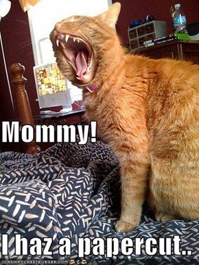 Mommy! I haz a papercut..