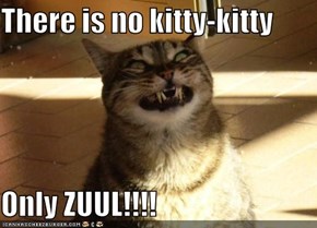 There is no kitty-kitty  Only ZUUL!!!!