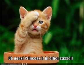 Oh noes! Princess iz in other cassel!