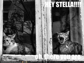 HEY STELLA!!!!  oh, there you are