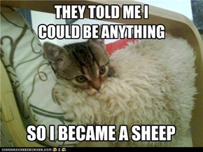 Baaaa-aaaad Joke