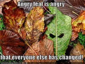Angry leaf is angry    that everyone else has changed!