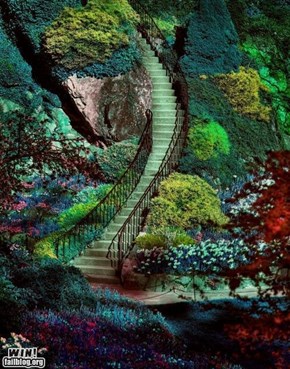 Staircase WIN