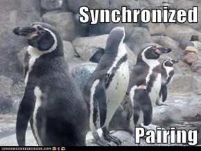 Synchronized  Pairing