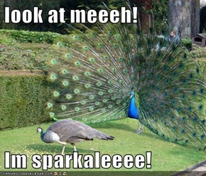look at meeeh!  Im sparkaleeee!