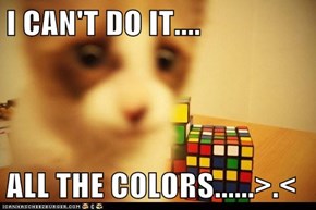 I CAN'T DO IT....  ALL THE COLORS......>.<