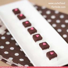 Epicute: Chocolate Dipped Sugar Cubes