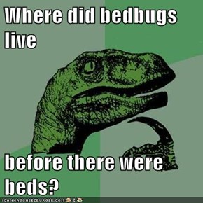 Where did bedbugs live  before there were beds?