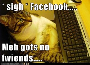 * sigh * Facebook.....  Meh gots no fwiends.....
