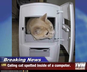 Breaking News - Celing cat spotted inside of a cumpoter.