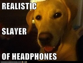 REALISTIC SLAYER  OF HEADPHONES