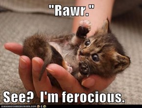"Rawr."  See?  I'm ferocious.