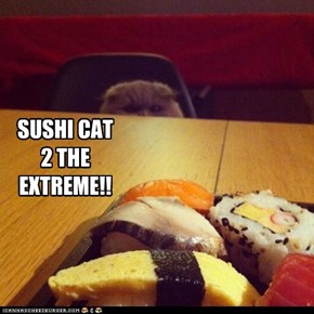 SUSHI CAT2 THE EXTREME!!