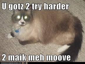 U gotz 2 try harder  2 maik meh moove