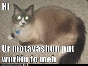 Hi  Ur motavashun nut wurkin fo meh