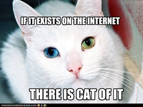 Rule # Soemthin of teh internets