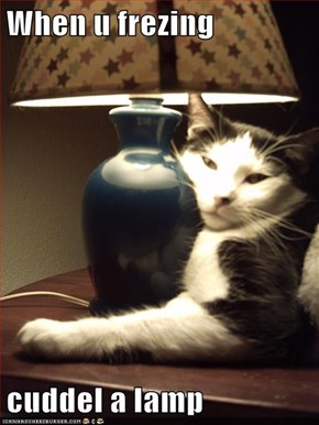 When u frezing  cuddel a lamp