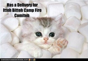 Has a Delivery for  Itteh Bitteh Camp Fire Comiteh